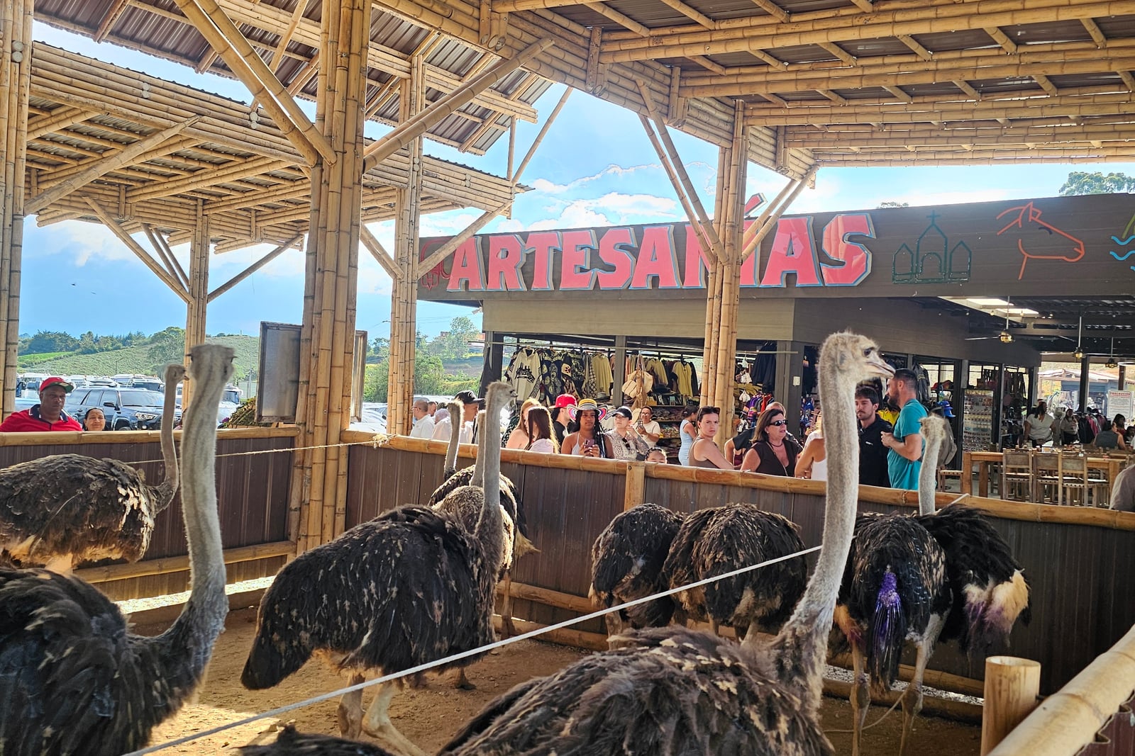 VIVE GUATAPÉ!